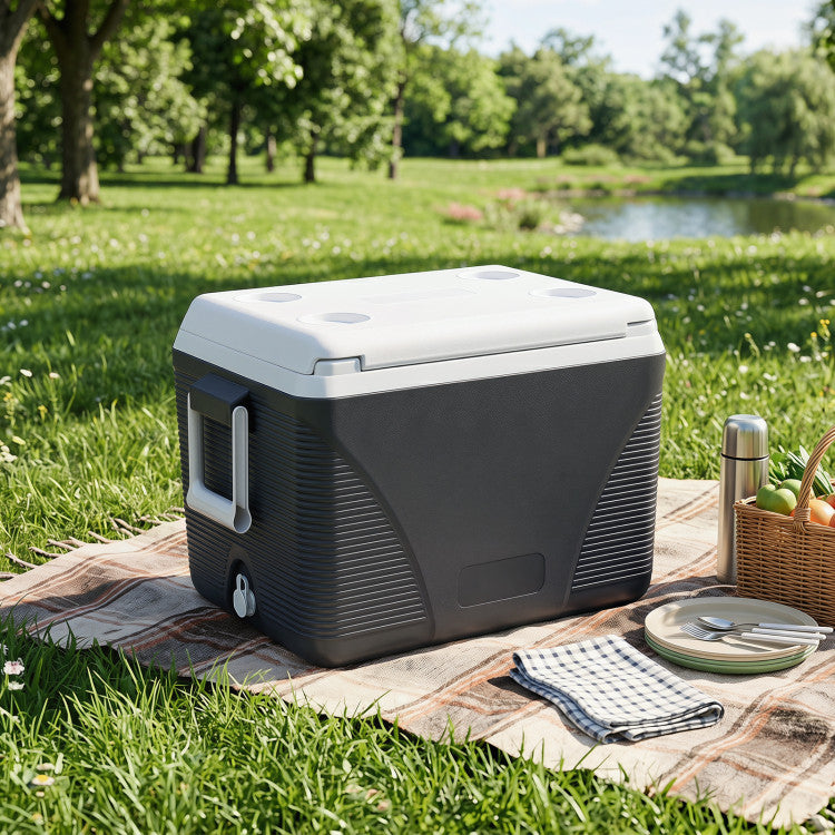43.3 Quart Portable Hard Coolerwith Handles and 4 Cup Holders