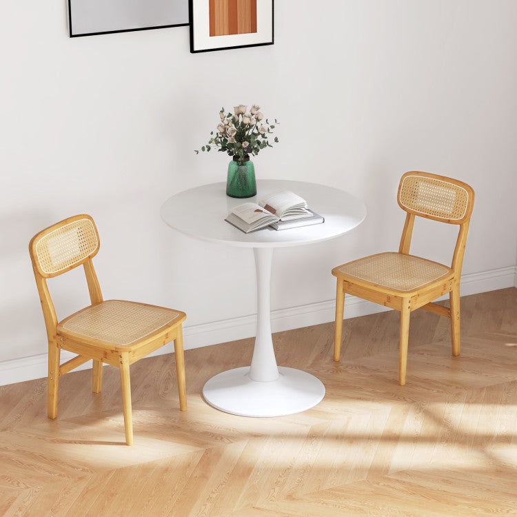 Set of 2 Rattan Dining Chairs with Simulated Rattan Backrest