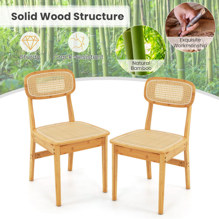 Set of 2 Rattan Dining Chairs with Simulated Rattan Backrest