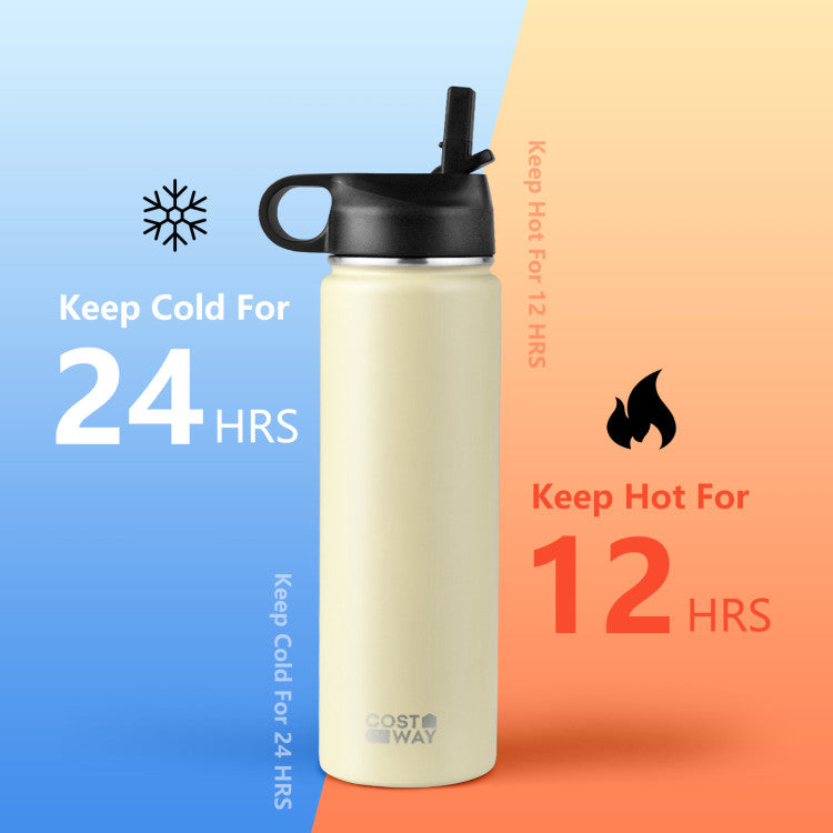 22 Oz Double-walled Insulated Stainless Steel Water Bottle with Straw Lid